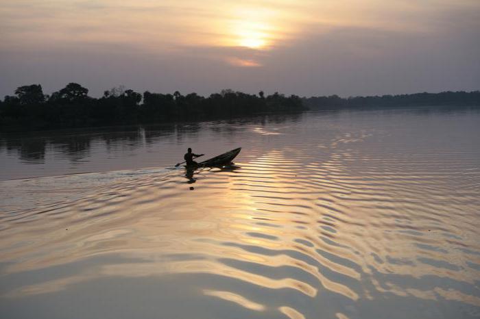 Gambia. Râul, afluenți 